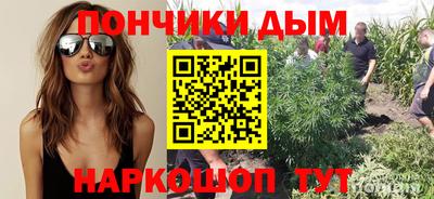 mdpv Заводоуковск