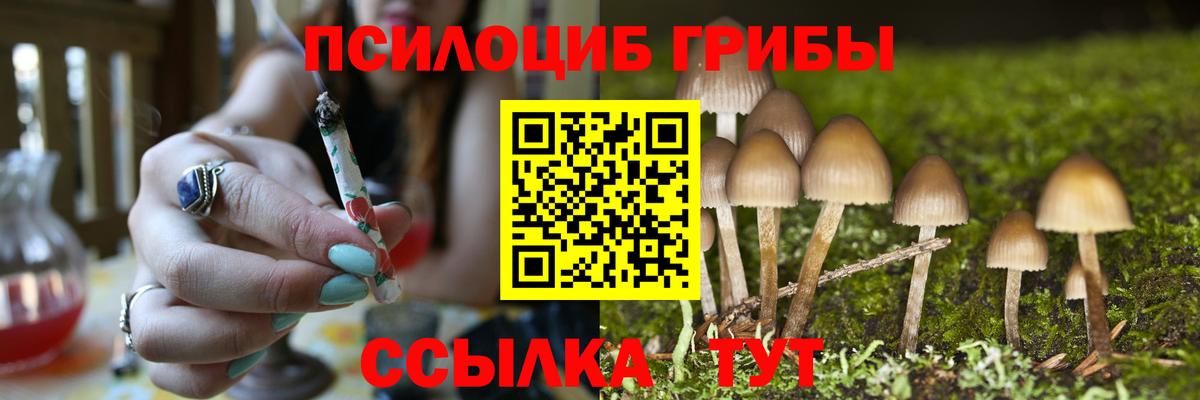 Кушва  Псилоцибиновые грибы GOLDEN TEACHER  как найти закладки  Вход с VPN  Псилоцибиновые грибы прущие грибы 